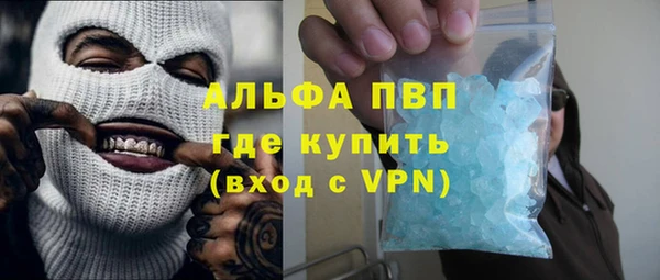 гашик Богданович