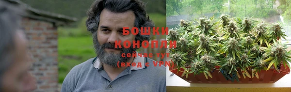 гашик Богданович
