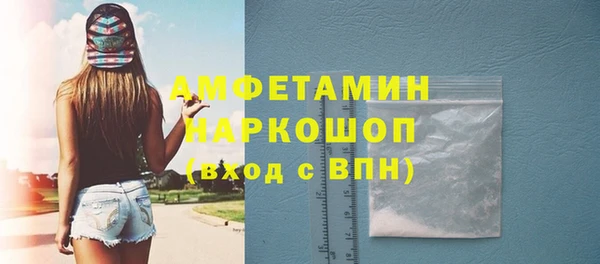 гашик Богданович