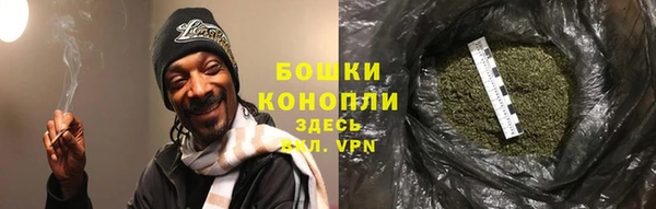 гашик Богданович