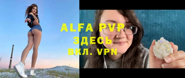 гашик Богданович