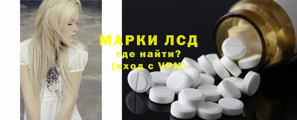 гашик Богданович