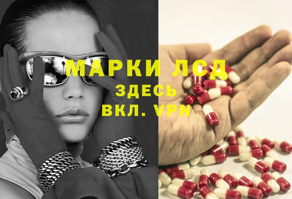 гашик Богданович