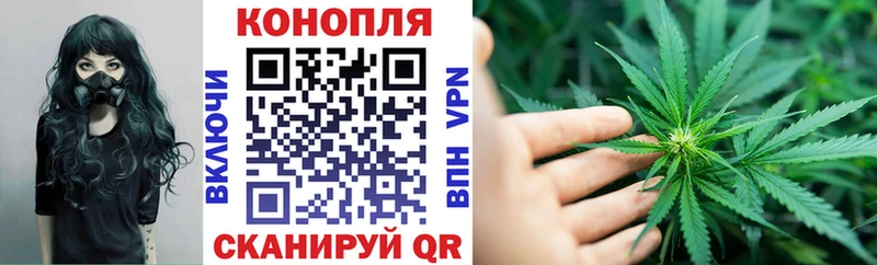 Канабис семена  Щучье 
